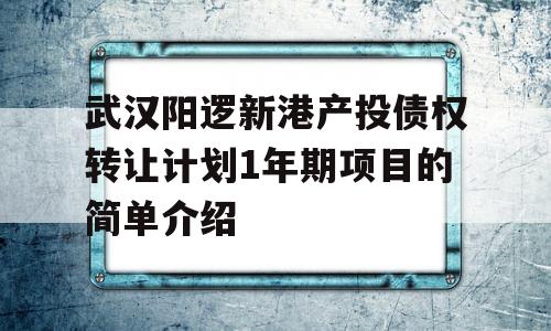 武汉阳逻新港产投债权转让计划1年期项目的简单介绍