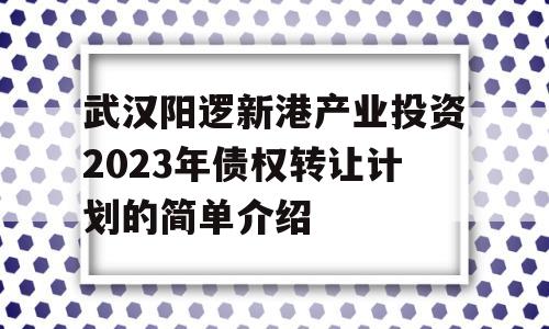 武汉阳逻新港产业投资2023年债权转让计划的简单介绍