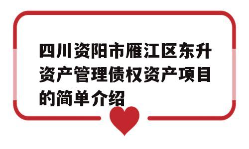 四川资阳市雁江区东升资产管理债权资产项目的简单介绍