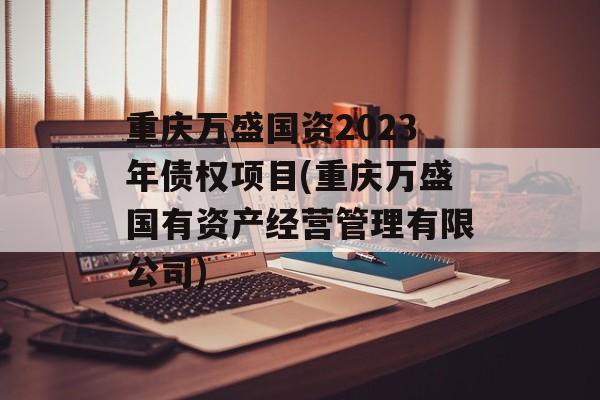 重庆万盛国资2023年债权项目(重庆万盛国有资产经营管理有限公司)