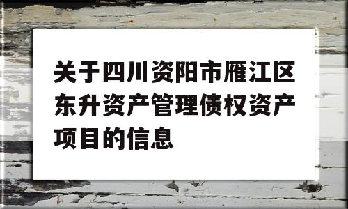 关于四川资阳市雁江区东升资产管理债权资产项目的信息