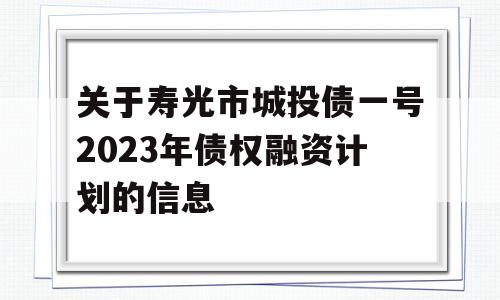 关于寿光市城投债一号2023年债权融资计划的信息