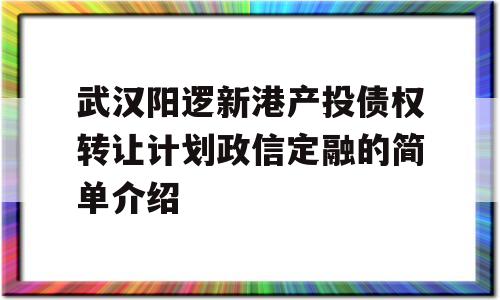 武汉阳逻新港产投债权转让计划政信定融的简单介绍