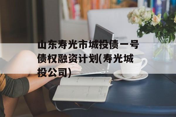 山东寿光市城投债一号债权融资计划(寿光城投公司)