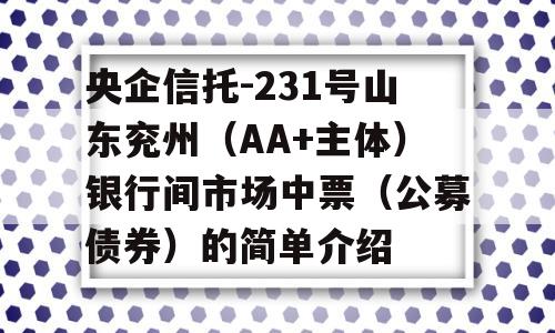 央企信托-231号山东兖州（AA+主体）银行间市场中票（公募债券）的简单介绍