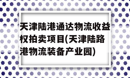 天津陆港通达物流收益权拍卖项目(天津陆路港物流装备产业园)