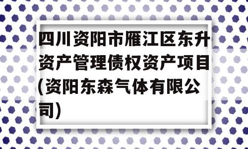 四川资阳市雁江区东升资产管理债权资产项目(资阳东森气体有限公司)