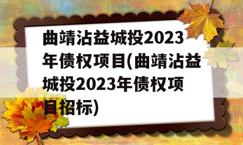 曲靖沾益城投2023年债权项目(曲靖沾益城投2023年债权项目招标)