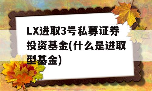 LX进取3号私募证券投资基金(什么是进取型基金)