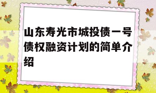 山东寿光市城投债一号债权融资计划的简单介绍