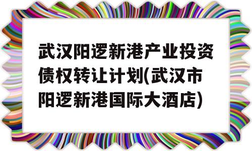 武汉阳逻新港产业投资债权转让计划(武汉市阳逻新港国际大酒店)