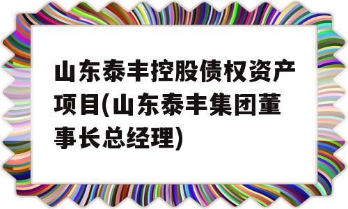 山东泰丰控股债权资产项目(山东泰丰集团董事长总经理)