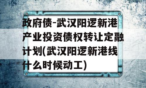 政府债-武汉阳逻新港产业投资债权转让定融计划(武汉阳逻新港线什么时候动工)