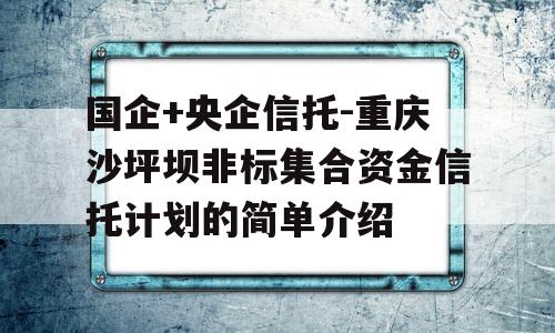 国企+央企信托-重庆沙坪坝非标集合资金信托计划的简单介绍