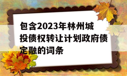 包含2023年林州城投债权转让计划政府债定融的词条