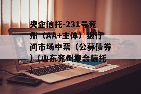 央企信托-231号兖州（AA+主体）银行间市场中票（公募债券）(山东兖州集合信托)