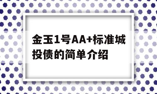 金玉1号AA+标准城投债的简单介绍