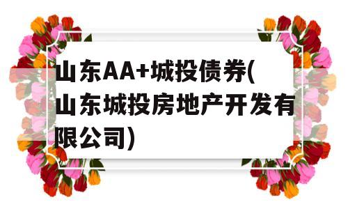 山东AA+城投债券(山东城投房地产开发有限公司)