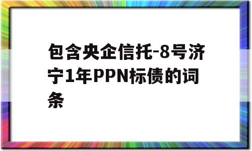 包含央企信托-8号济宁1年PPN标债的词条