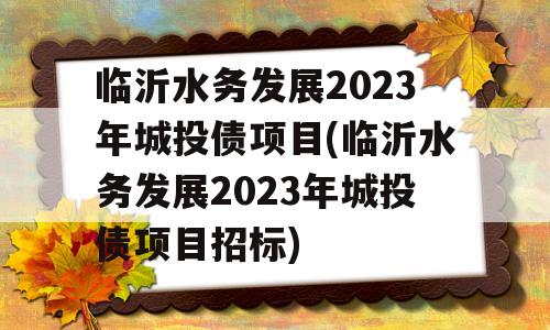 临沂水务发展2023年城投债项目(临沂水务发展2023年城投债项目招标)