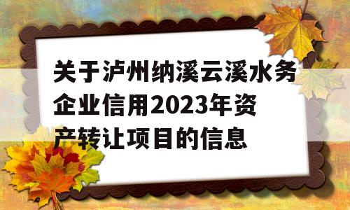 关于泸州纳溪云溪水务企业信用2023年资产转让项目的信息