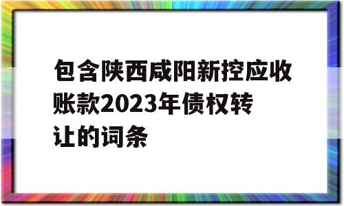 包含陕西咸阳新控应收账款2023年债权转让的词条