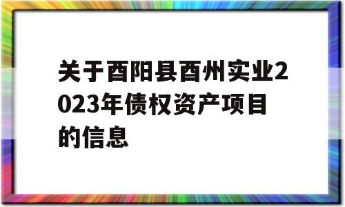 关于酉阳县酉州实业2023年债权资产项目的信息