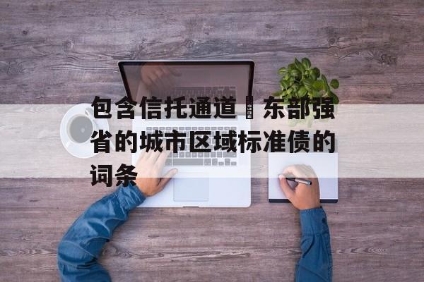 包含信托通道–东部强省的城市区域标准债的词条