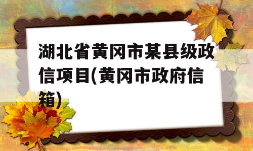 湖北省黄冈市某县级政信项目(黄冈市政府信箱)