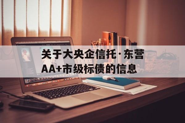 关于大央企信托·东营AA+市级标债的信息