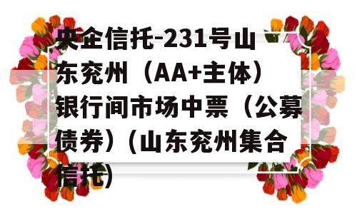 央企信托-231号山东兖州（AA+主体）银行间市场中票（公募债券）(山东兖州集合信托)