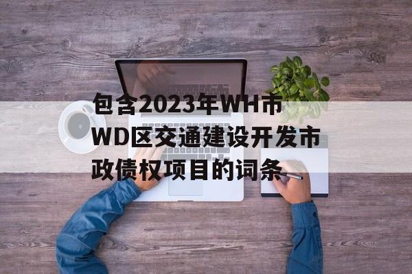 包含2023年WH市WD区交通建设开发市政债权项目的词条