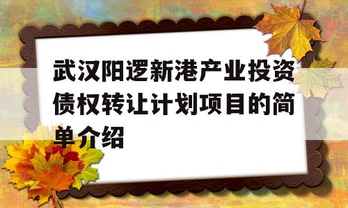 武汉阳逻新港产业投资债权转让计划项目的简单介绍