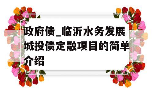 政府债_临沂水务发展城投债定融项目的简单介绍