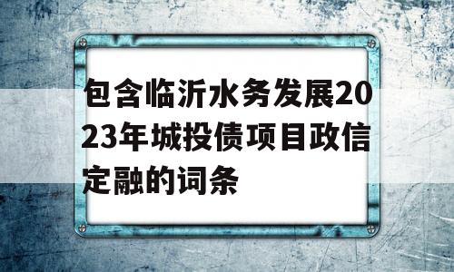 包含临沂水务发展2023年城投债项目政信定融的词条