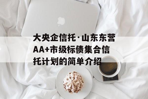 大央企信托·山东东营AA+市级标债集合信托计划的简单介绍