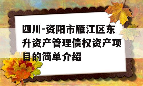 四川-资阳市雁江区东升资产管理债权资产项目的简单介绍