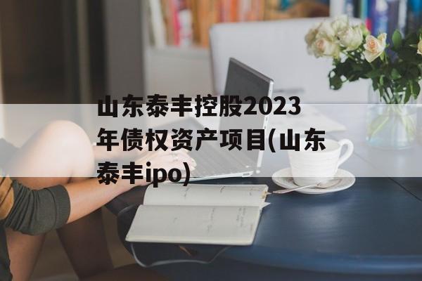 山东泰丰控股2023年债权资产项目(山东泰丰ipo)