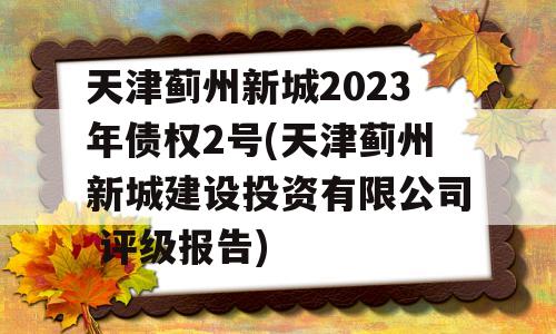 天津蓟州新城2023年债权2号(天津蓟州新城建设投资有限公司 评级报告)