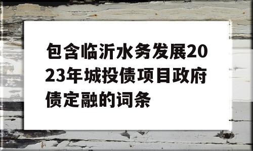 包含临沂水务发展2023年城投债项目政府债定融的词条