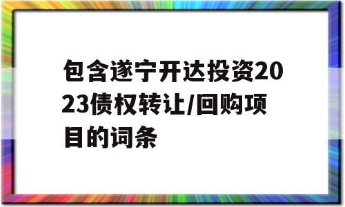 包含遂宁开达投资2023债权转让/回购项目的词条