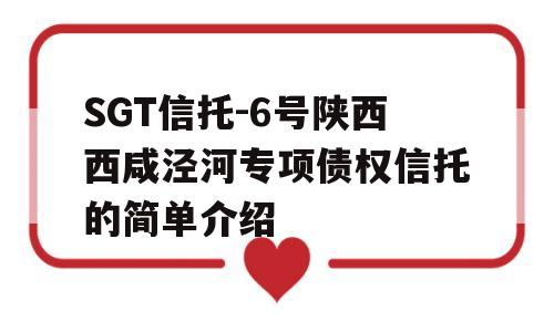 SGT信托-6号陕西西咸泾河专项债权信托的简单介绍