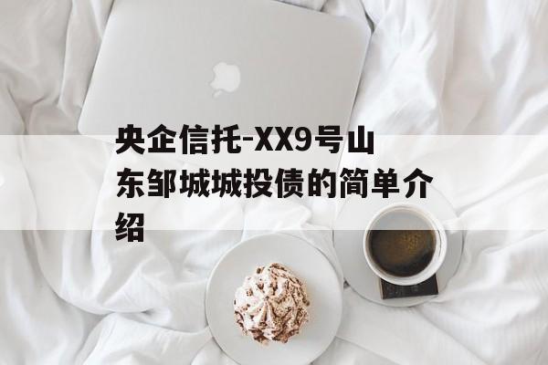 央企信托-XX9号山东邹城城投债的简单介绍