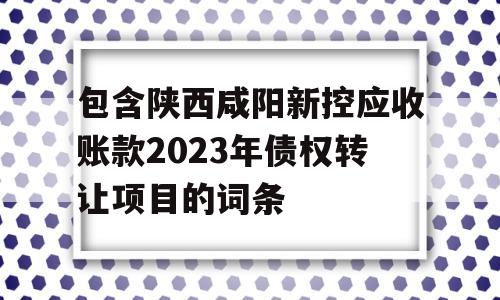 包含陕西咸阳新控应收账款2023年债权转让项目的词条