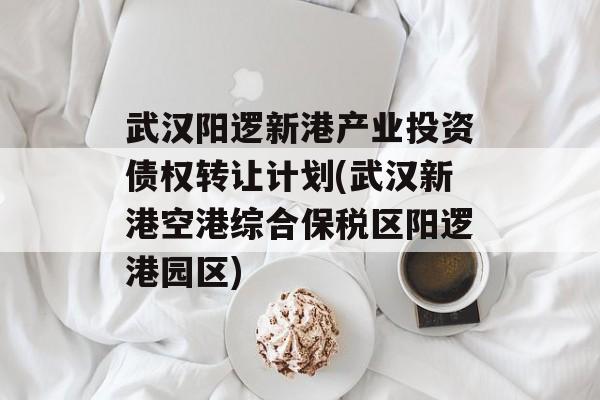 武汉阳逻新港产业投资债权转让计划(武汉新港空港综合保税区阳逻港园区)