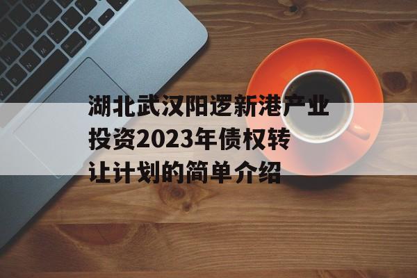 湖北武汉阳逻新港产业投资2023年债权转让计划的简单介绍