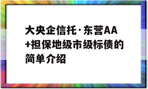 大央企信托·东营AA+担保地级市级标债的简单介绍