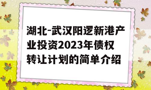 湖北-武汉阳逻新港产业投资2023年债权转让计划的简单介绍