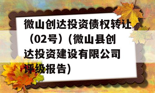 微山创达投资债权转让（02号）(微山县创达投资建设有限公司 评级报告)