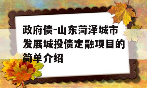 政府债-山东菏泽城市发展城投债定融项目的简单介绍